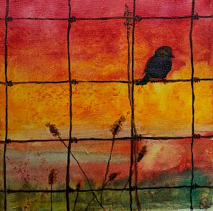 Zaunkönig (Verkauft/Sold)