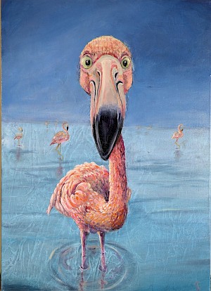 Flamingo
